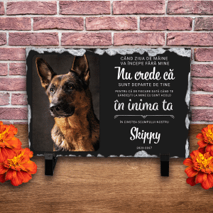 Placă ardezie personalizată cu poză și nume - Animal de companie