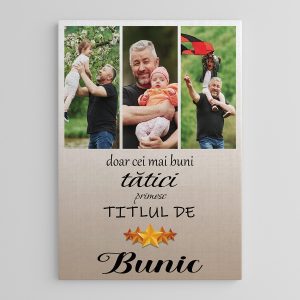Tablou canvas personalizat cu trei poze - Bunic