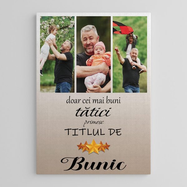 Tablou canvas personalizat cu trei poze - Bunic