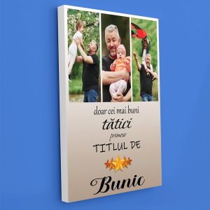 Tablou canvas personalizat cu trei poze - Bunic